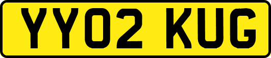 YY02KUG