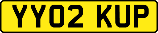 YY02KUP