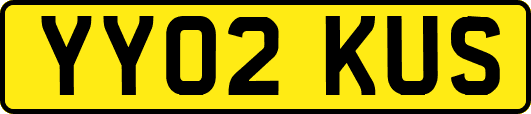 YY02KUS