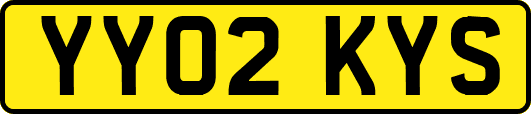 YY02KYS