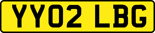 YY02LBG