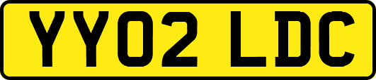 YY02LDC