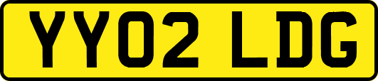 YY02LDG