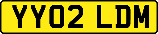 YY02LDM