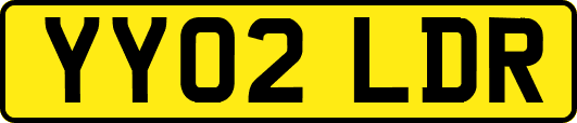 YY02LDR