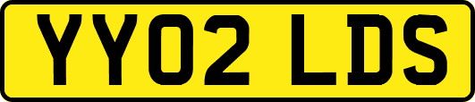 YY02LDS