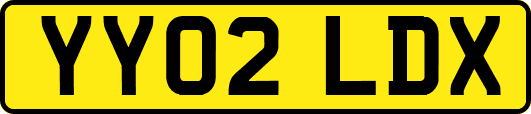 YY02LDX