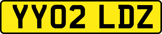 YY02LDZ