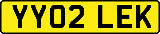 YY02LEK
