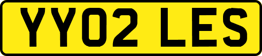 YY02LES