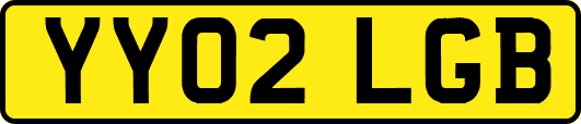 YY02LGB