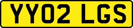 YY02LGS