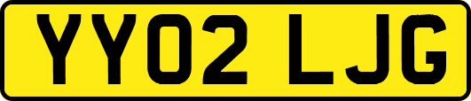YY02LJG