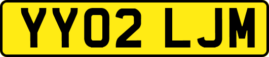 YY02LJM