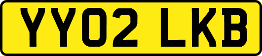 YY02LKB