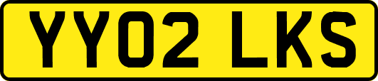 YY02LKS