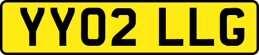 YY02LLG
