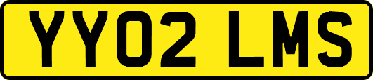 YY02LMS