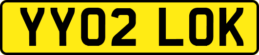 YY02LOK