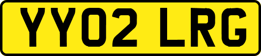 YY02LRG