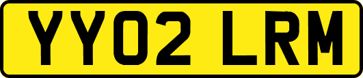 YY02LRM