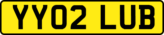 YY02LUB