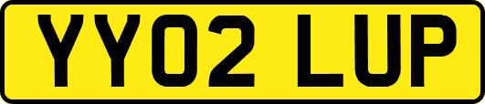 YY02LUP
