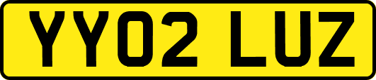 YY02LUZ