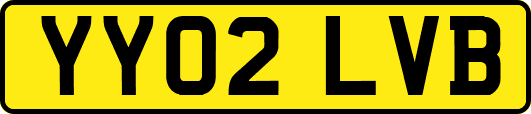 YY02LVB