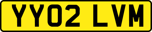 YY02LVM
