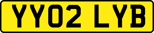 YY02LYB