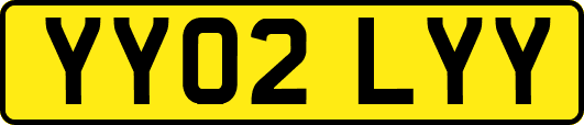 YY02LYY