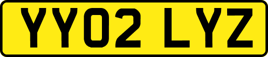YY02LYZ