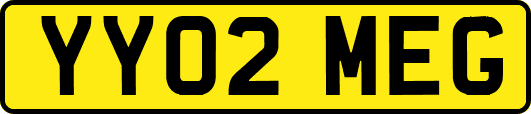 YY02MEG