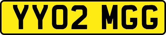 YY02MGG