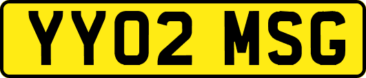 YY02MSG