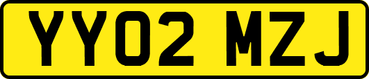 YY02MZJ