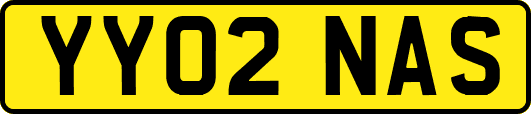 YY02NAS