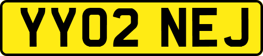 YY02NEJ