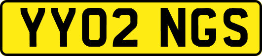 YY02NGS