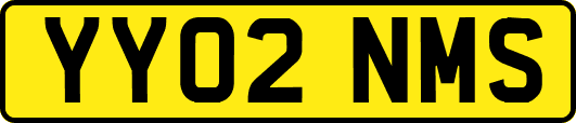 YY02NMS