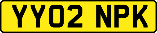 YY02NPK