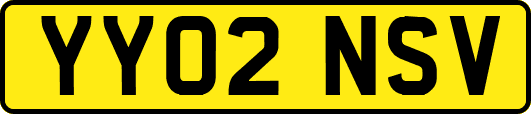 YY02NSV