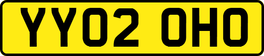 YY02OHO