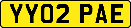 YY02PAE