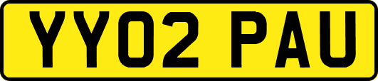 YY02PAU