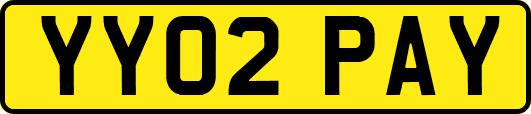 YY02PAY