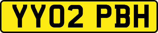 YY02PBH