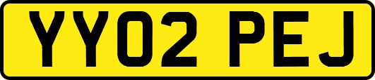 YY02PEJ