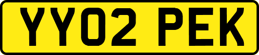 YY02PEK